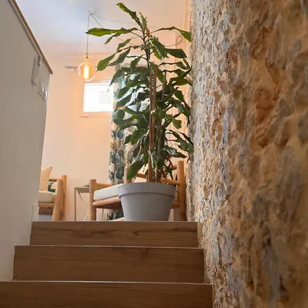 公寓 Cb - Jungle 戛纳